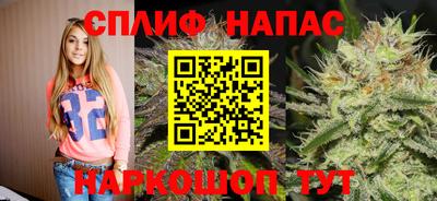 МДПВ Краснознаменск