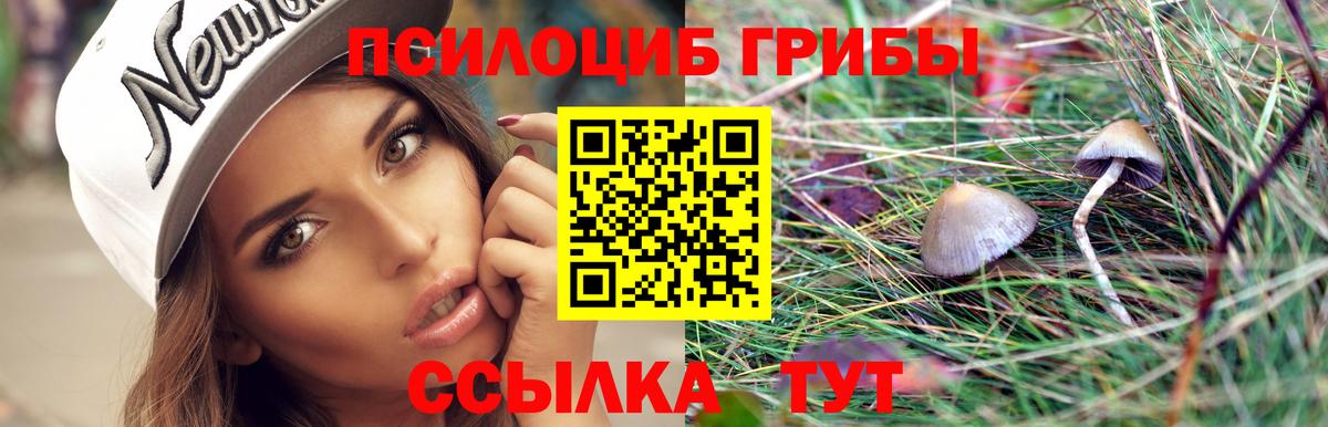 Клин  где найти наркотики  Псилоцибиновые грибы Cubensis  Вход с VPN  Галлюциногенные грибы прущие грибы 